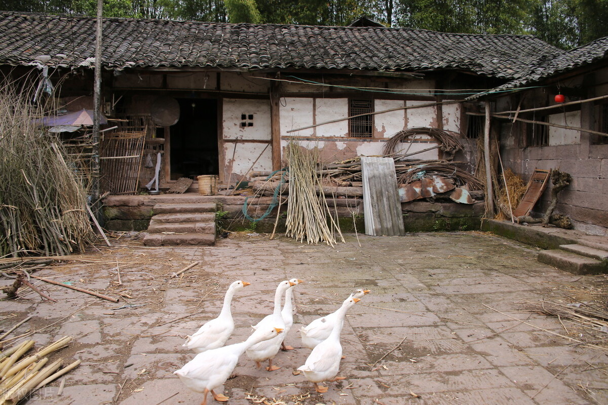 “养儿防老”已经成为过去,关键时候还得靠我们自己